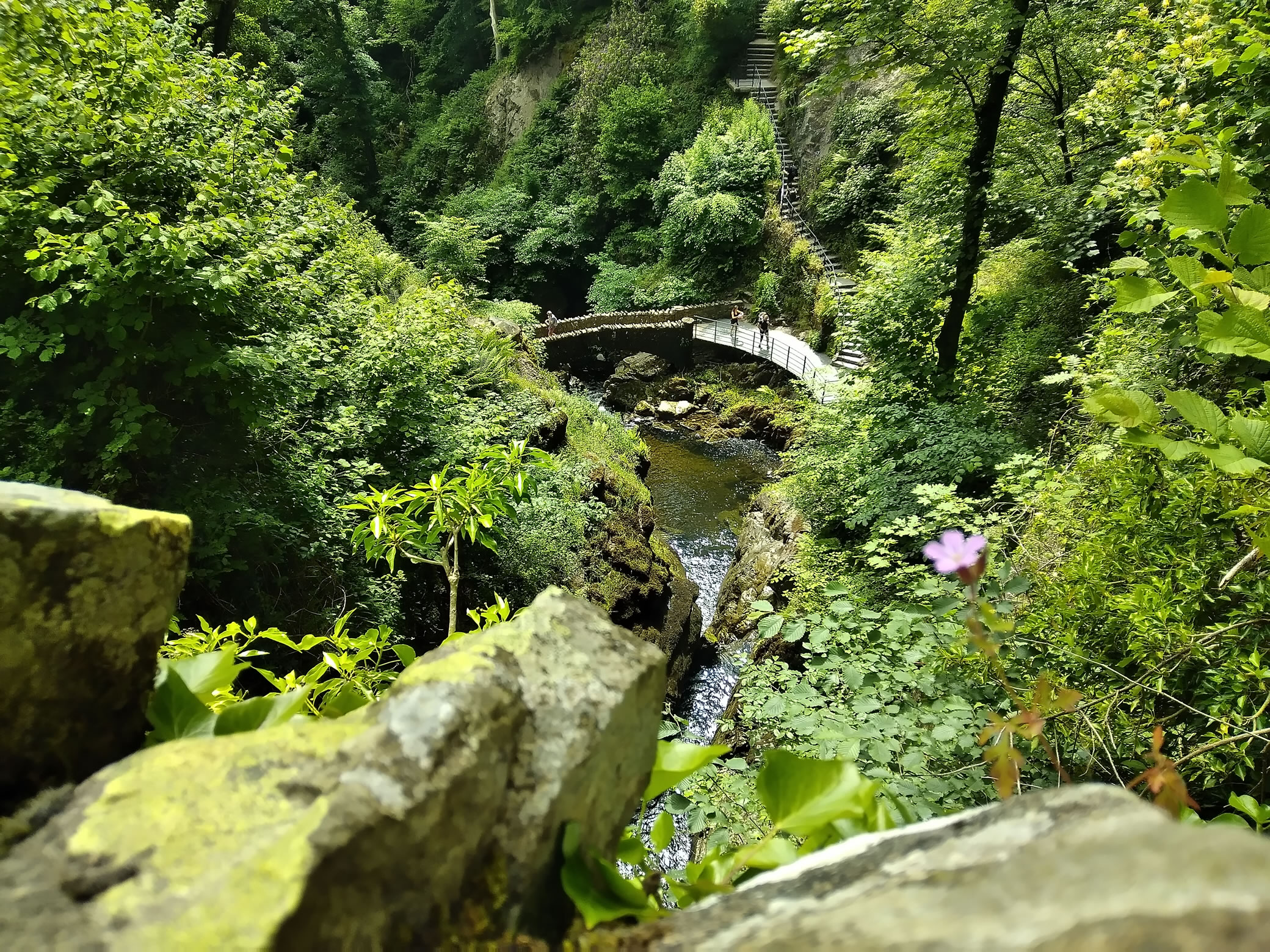Aira Force - Image 4, Jun 24, 2024